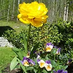 Сasa de vacaciones Saxenauer