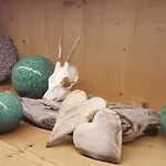 Saxenauer Сasa de vacaciones Hinterstoder