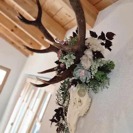 Saxenauer * ヒンターシュトダー