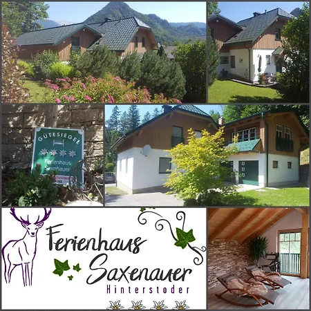 Saxenauer *