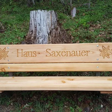 Holiday home Saxenauer *