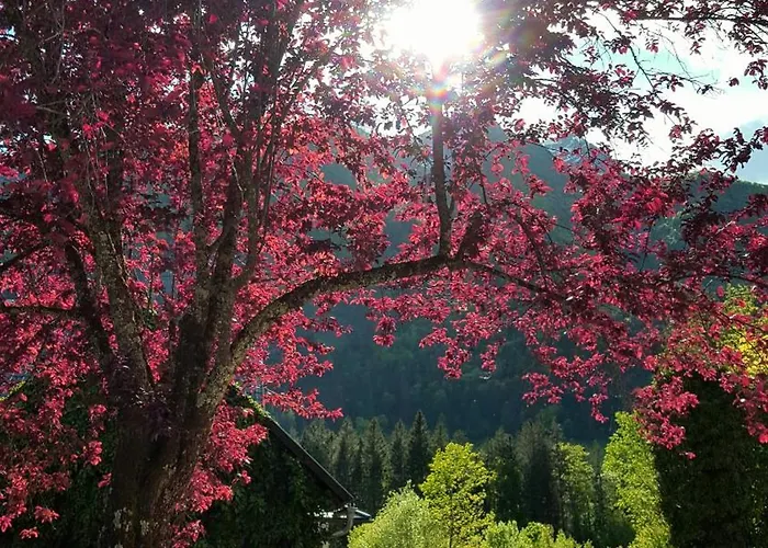 Σπίτι διακοπών Saxenauer *