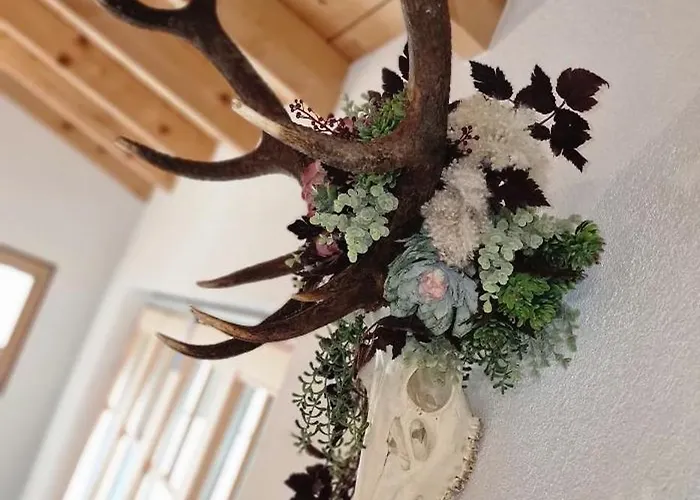 Saxenauer * Hinterstoder