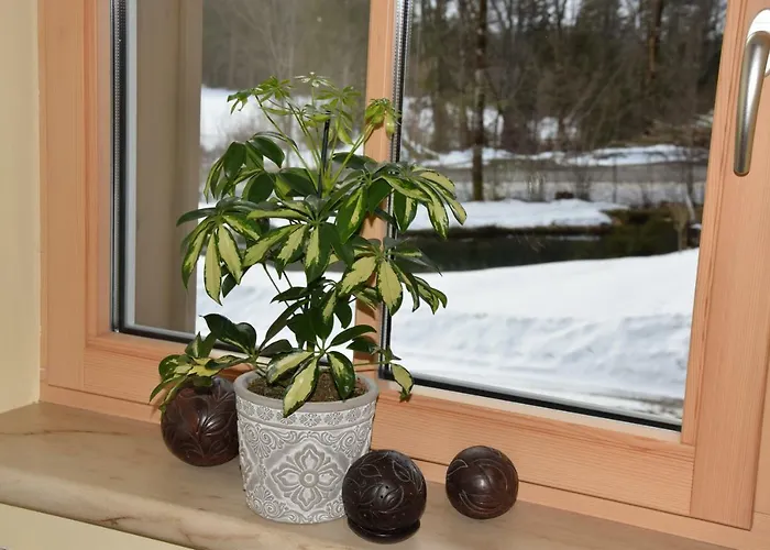 Saxenauer Casa vacanze Hinterstoder