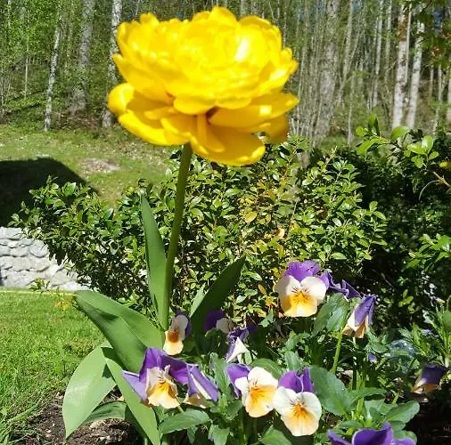 Σπίτι διακοπών Saxenauer