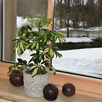 Saxenauer Tatil Evi Hinterstoder