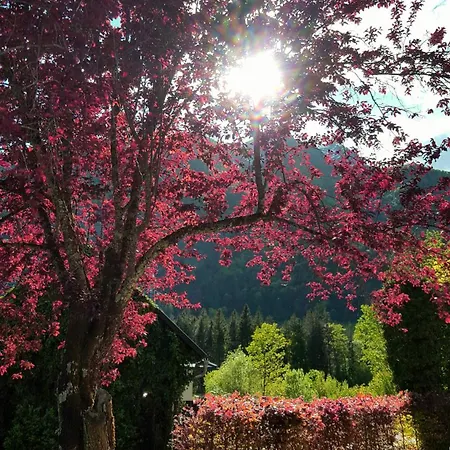 بيت للعطل Saxenauer *