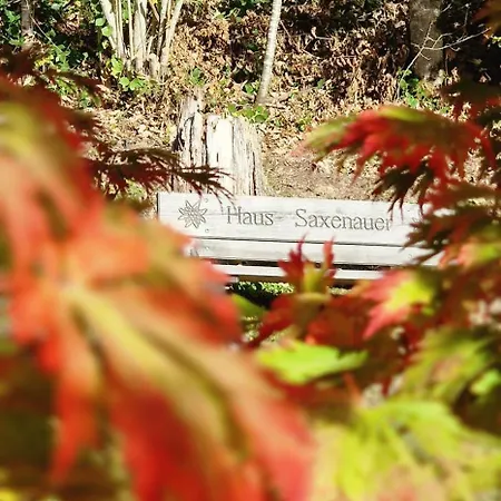 بيت للعطل Saxenauer