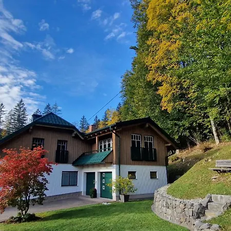 Saxenauer هينترستودر