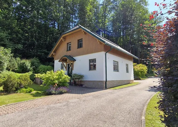 Saxenauer هينترستودر