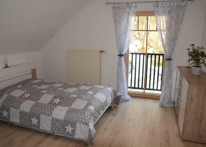 Saxenauer هينترستودر