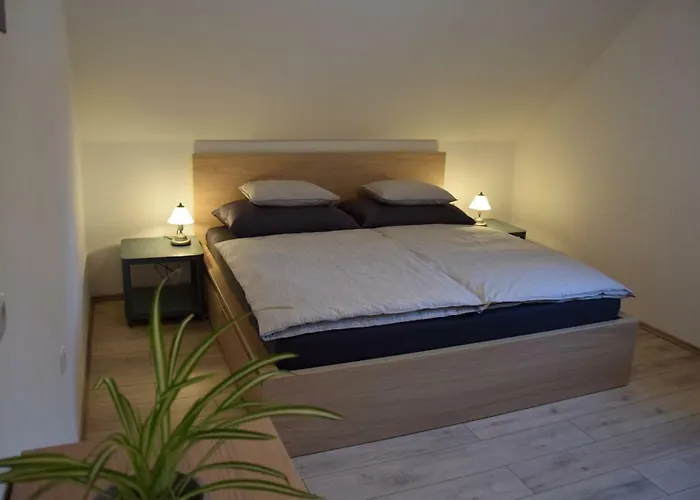 Saxenauer هينترستودر