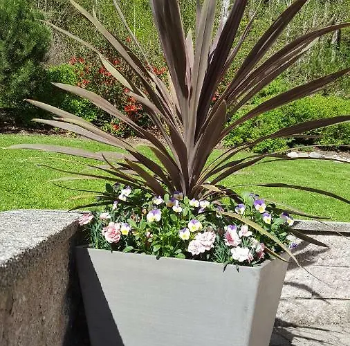 بيت للعطل Saxenauer هينترستودر