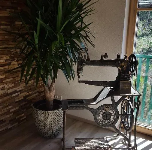 Saxenauer هينترستودر